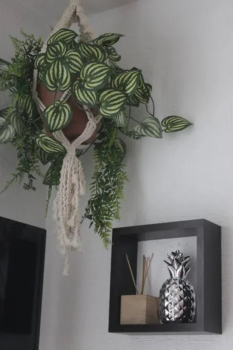 Departamento Tropical En Playa Del Carmen Apartment 0*,  Mexico