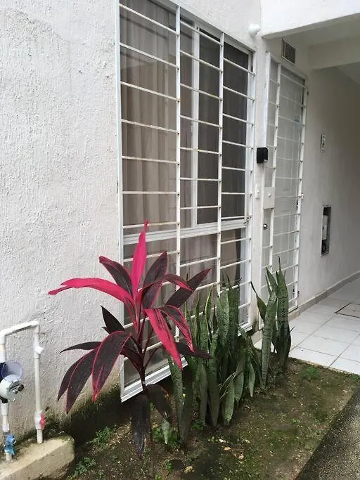 Departamento Tropical En Playa Del Carmen Apartment